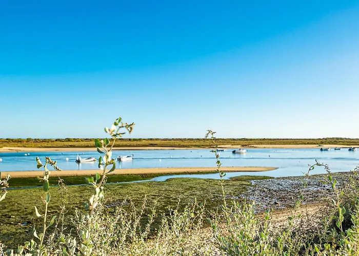 Beguest Only Good Vibes - Daire *